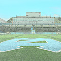Centerfield