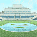 Centerfield #2