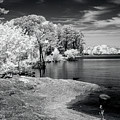 Jordan Lake - Infrared